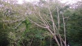 WP_20160617_13_25_23_Pro.jpg